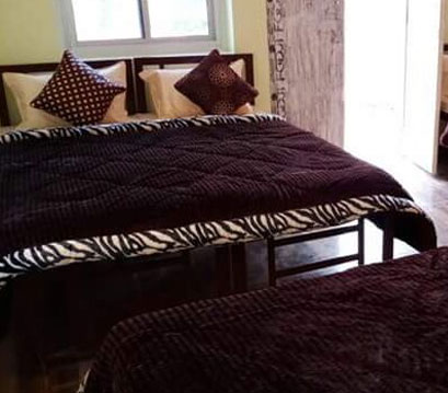 Camping In Shivpuri Rishikesh